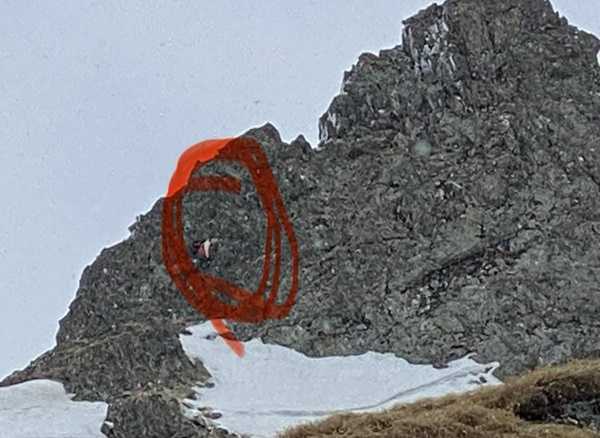 633a4d93-3ff3-4a13-8737-93cfec8396db