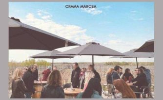 crama Marcea