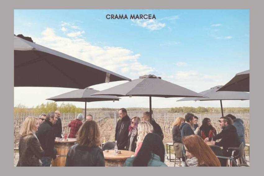 crama Marcea