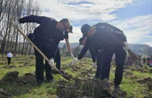 Jandarmii din Argeș au participat la acțiunea "Plantăm speranța"! 29 jandarmi e1712418237731 - Jandarmii din Argeș au participat la acțiunea "Plantăm speranța"!