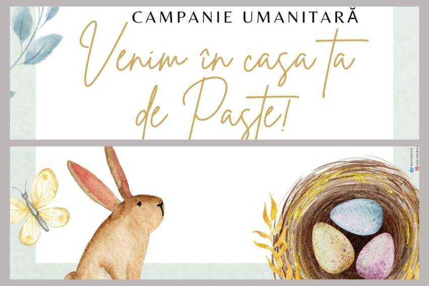 campanie la Mioveni campanie la Mioveni