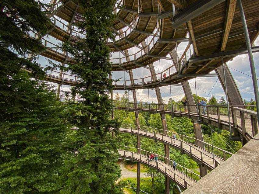 Pădurile Bavareze elevi