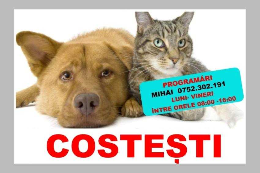 sterilizari la Costești