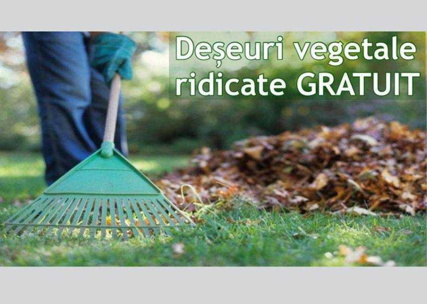 deseuri vegetale Sursă foto: Facebook Primăria MUnicipiului Pitești