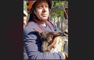 Argeș. Misiune de salvare a iedului Cornel! 24 Captura de ecran 2024 04 12 203444 e1712943321801 - Argeș. Misiune de salvare a iedului Cornel!