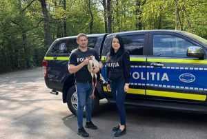 a59a9490 f6dc 421a a8b2 61b64403bcf1 1 - Izvoru: O barză rănită a fost salvată de polițiștii argeșeni de la Protecția Animalelor