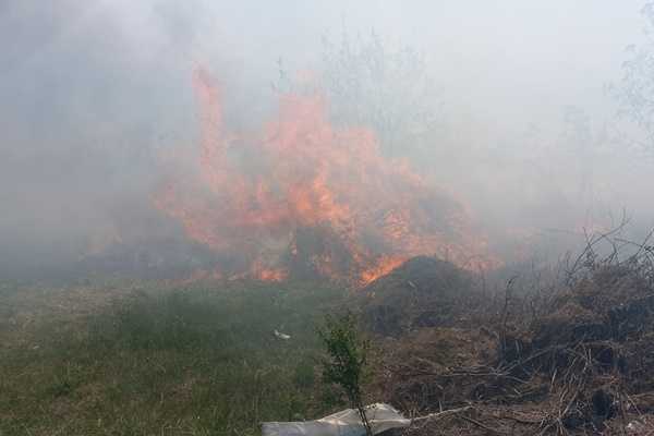 Incendiu de vegetație Incendiu de vegetație
