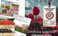Sursă foot: Facebook Primăria Municipiului Pitești.