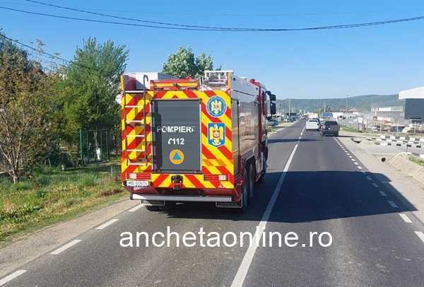 52e2ce9c-3450-4005-b342-d7bba75a0640