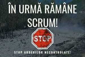 438082664 740369791611206 3722212962817792309 n - Cinci incendii de vegetație într-o singură zi! Pompierii argeșeni trag un semnal de alarmă!