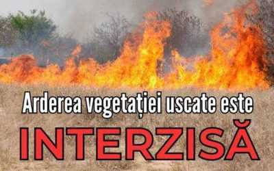 Sursă foto: Facebook Primăria Municipiului Pitești.