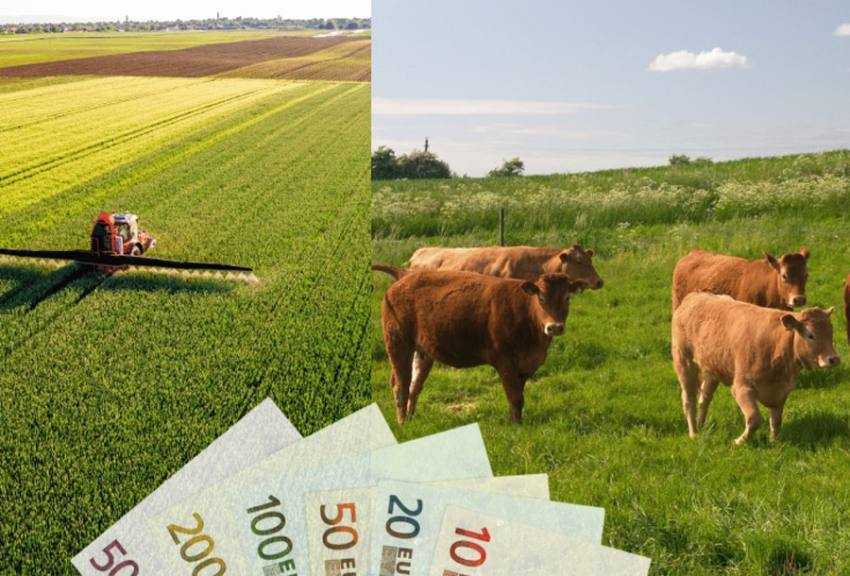 Sursă foto: Facebook Primăria Orașului Mioveni