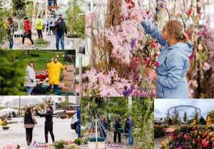Se pregătește expoziția Simfonia Lalelelor 2024. Au venit din toată țara să impresioneze cu aranjamentele florare! 28 Sursă foto: Primăria Municipiului Pitești.