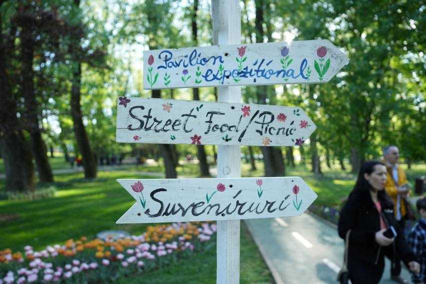 PITEȘTI. Bucurați-vă de o plimbare cu barca plină cu lalele în Parcul Ștrand! 2 Simfonia Lalelelor