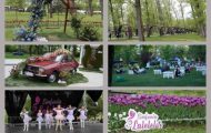 Simfonia Lalelelor parc Lunca Argeșului