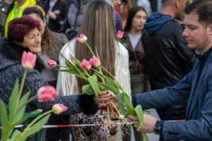 bulbi lalele pitesteni