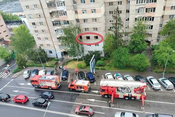 93fff57d-65d9-4dc4-a1bc-9e265a9b4ec5