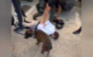 ( VIDEO) Tineri traficanți de droguri prinși în flagrant delict! Argeș și București 17 traficanti de droguri diicot - ( VIDEO) Tineri traficanți de droguri prinși în flagrant delict! Argeș și București