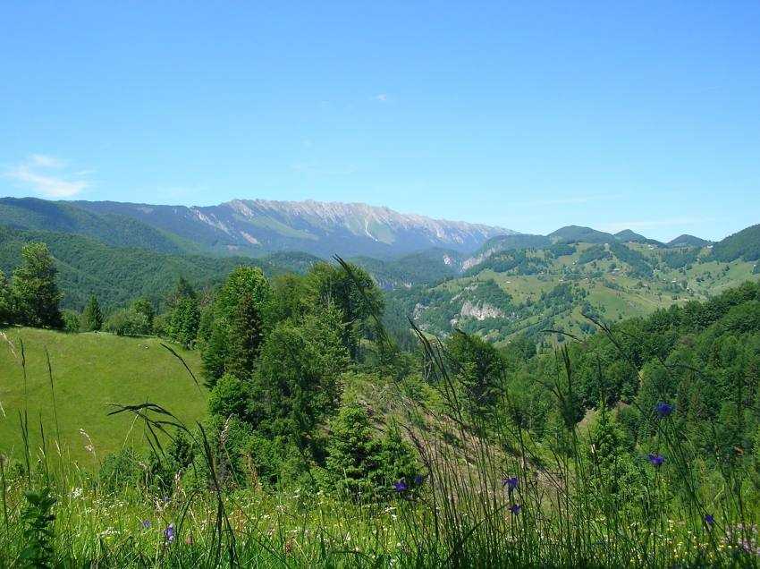 APA CRAIULUI – Din izvoarele Pietrei Craiului direct pe masa de Paște! 2 Apa Craiului