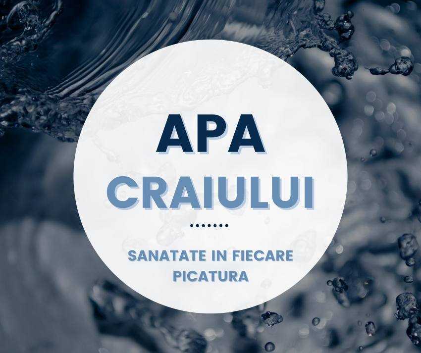 APA CRAIULUI – Din izvoarele Pietrei Craiului direct pe masa de Paște! 3 Apa Craiului