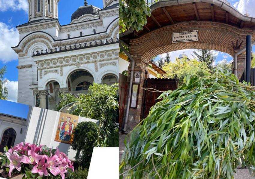 florii salcie si flori pitesti Sursă foto: Facebook Primăria MUnicipiului Pitești.