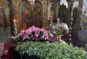 Sursă foto: Facebook Primăria MUnicipiului Pitești.