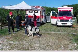 Sursă foto: Servicii Edilitare pentru Comunitate Mioveni.