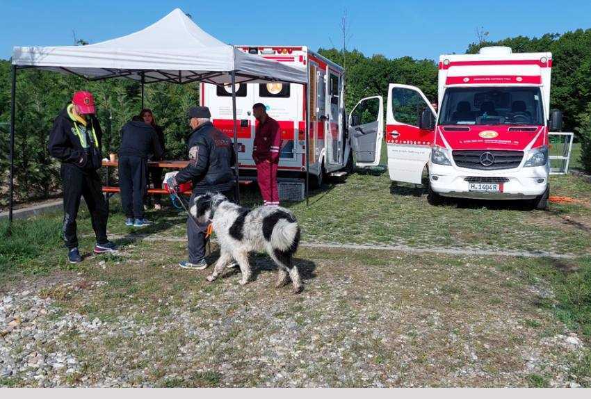 Sursă foto: Servicii Edilitare pentru Comunitate Mioveni.