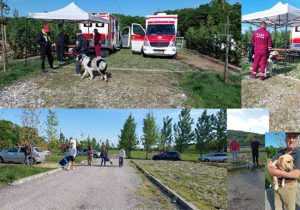 Sursă foto: Servicii Edilitare pentru Comunitate Mioveni.