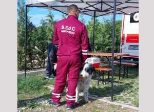 Sursă foto: Servicii Edilitare pentru Comunitate Mioveni.