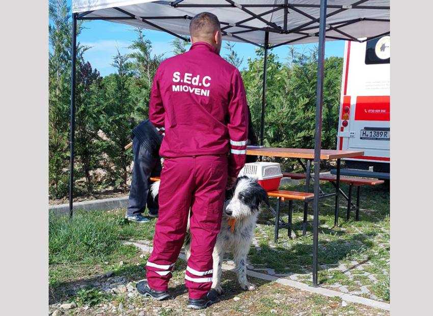 Sursă foto: Servicii Edilitare pentru Comunitate Mioveni.