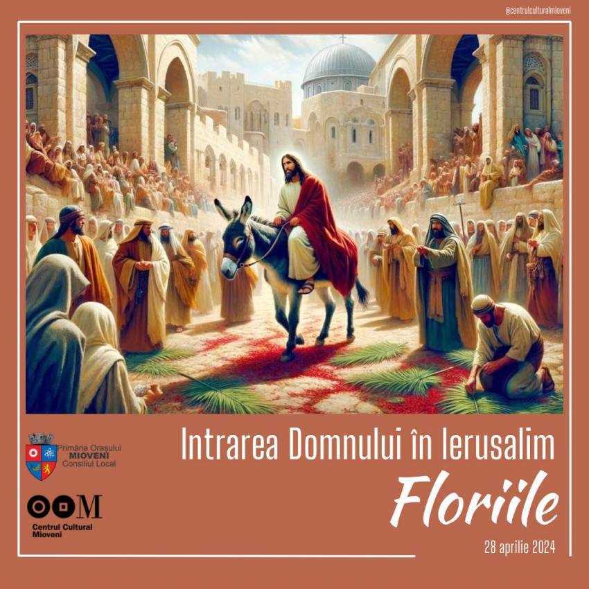 CC Mioveni Florii CC Mioveni Florii