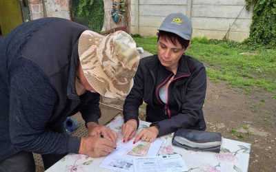 Sursă foto: Facebook Compania Națională Poșta Română. 