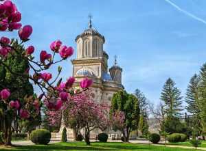 Sursă foto: Facebook Arhiepiscopia Argeșului și Muscelului.
