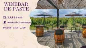winebar la crama Marcea