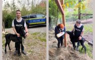 mânz polițiști argeș