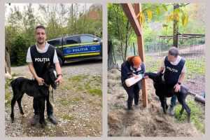 mânz polițiști argeș