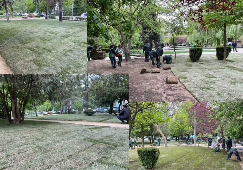 lucrari expo parc iata cum arata Sursă foto: Facebook Primăria Municipiului Pitești.