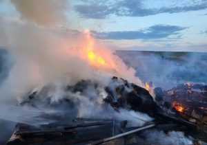 IMG 20240507 WA0000 - Incendiu de proporții provocat de un copil de 6 ani. O femeie a avut nevoie de îngrijiri medicale