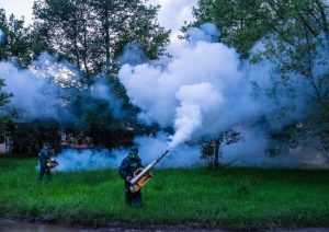 Sursă foto: Facebook Primăria Orașului Mioveni.