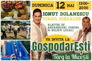 GospodarEsti Targ Micesti_2