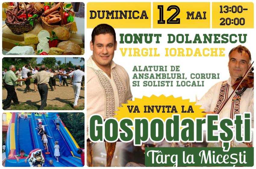 GospodarEsti Targ Micesti_2