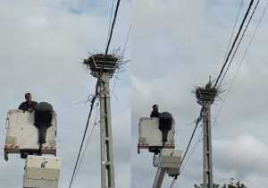 Sursă foto: Facebook Servicii Edilitare pentru Comunitate Mioveni.