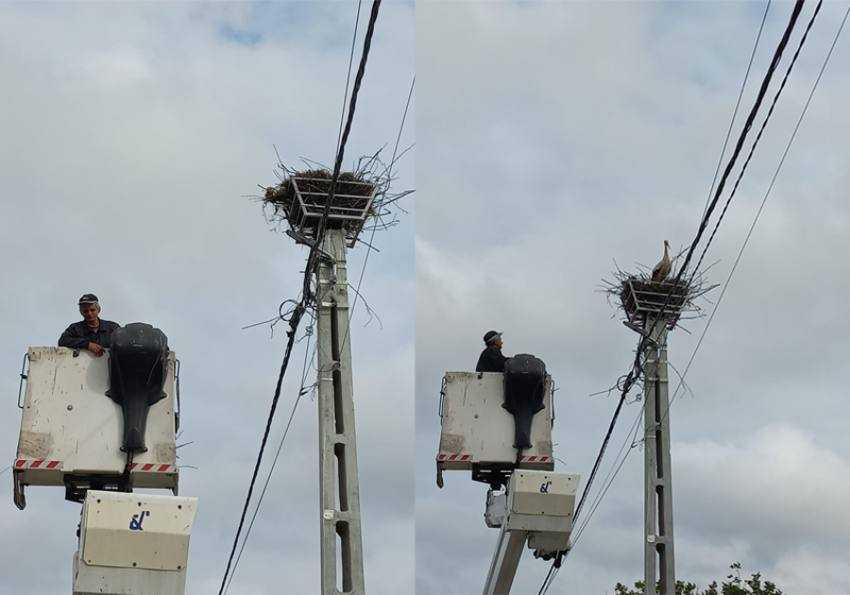 cuib de barza nou Sursă foto: Facebook Servicii Edilitare pentru Comunitate Mioveni.