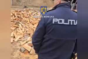 (VIDEO) Mihăești. Șase tineri au fost reținuți în urma perchezițiilor privind furtul de lemne 30 1ee629bf 4ba1 43f6 ab07 5aba98eae207 - (VIDEO) Mihăești. Șase tineri au fost reținuți în urma perchezițiilor privind furtul de lemne