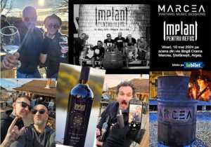 ”Implant Pentru Refuz” live la Crama Marcea 1 Sursă foto: Facebook Crama Marcea.