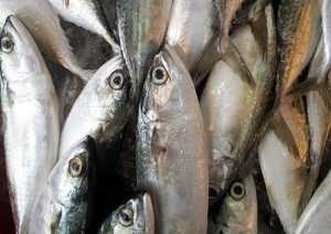 fish 218887 640 - Peste 1,3 tone de pește și preparate din pește-retrase de la vânzare de ANPC