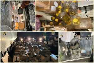 page 1 - (VIDEO) 12 persoane au fost reținute în cazul FABRICII DE DROGURI descoperită în Argeș