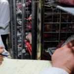 control dsvsa - Controale DSVSA Argeș în noiembrie! Amenzi de peste 75.000 de lei și tone de produse retrase