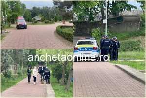 page 5 - Alertă în Pitești! A fost semnalată prezența unui urs în Parcul Ștrand